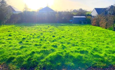 Terrain à bâtir Talensac - réf 35056-1556